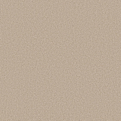 TEXTURE BCF