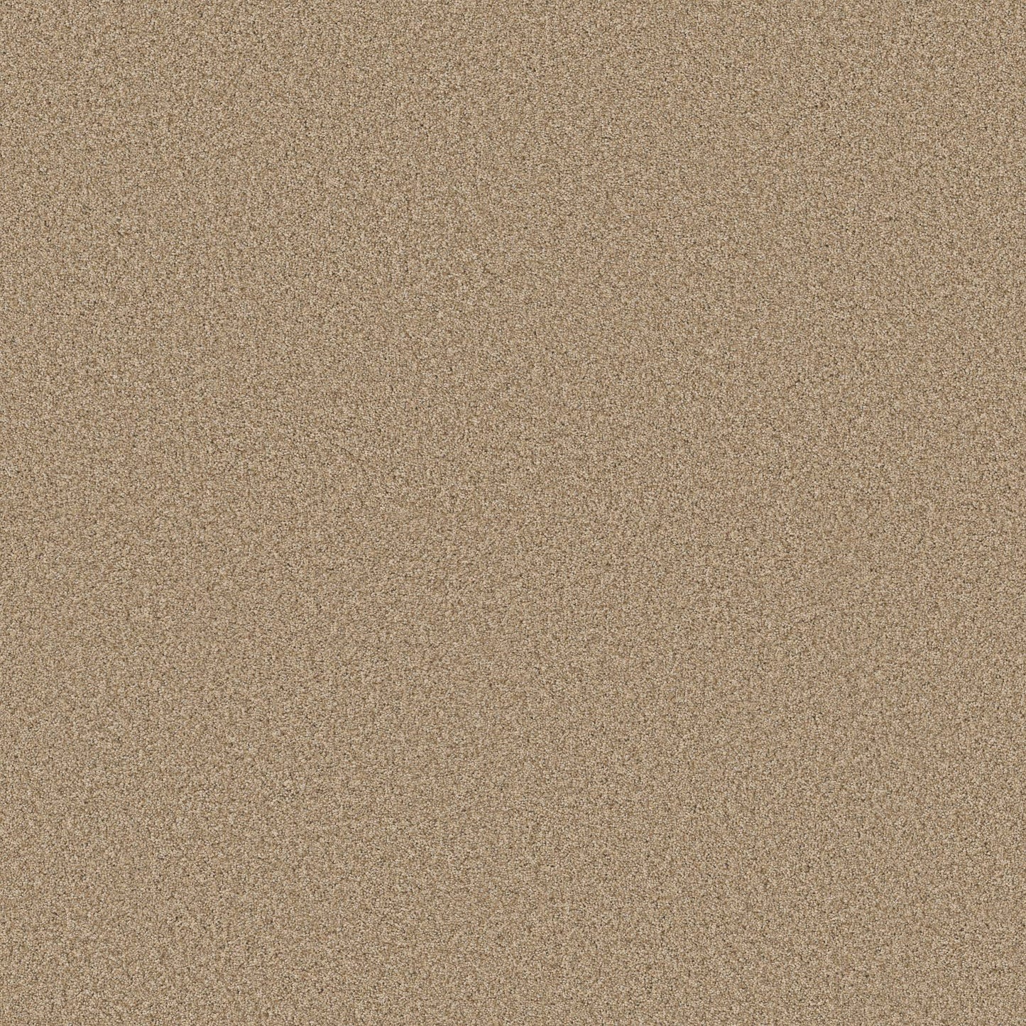 TEXTURE BCF