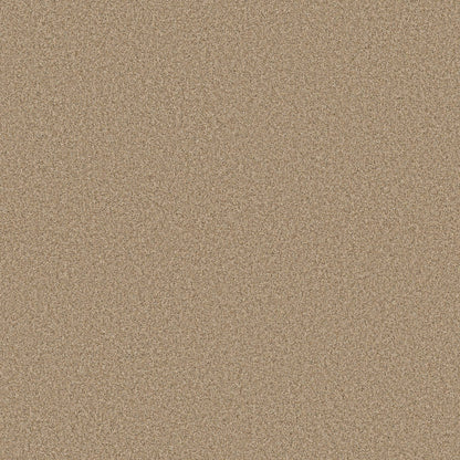 TEXTURE BCF
