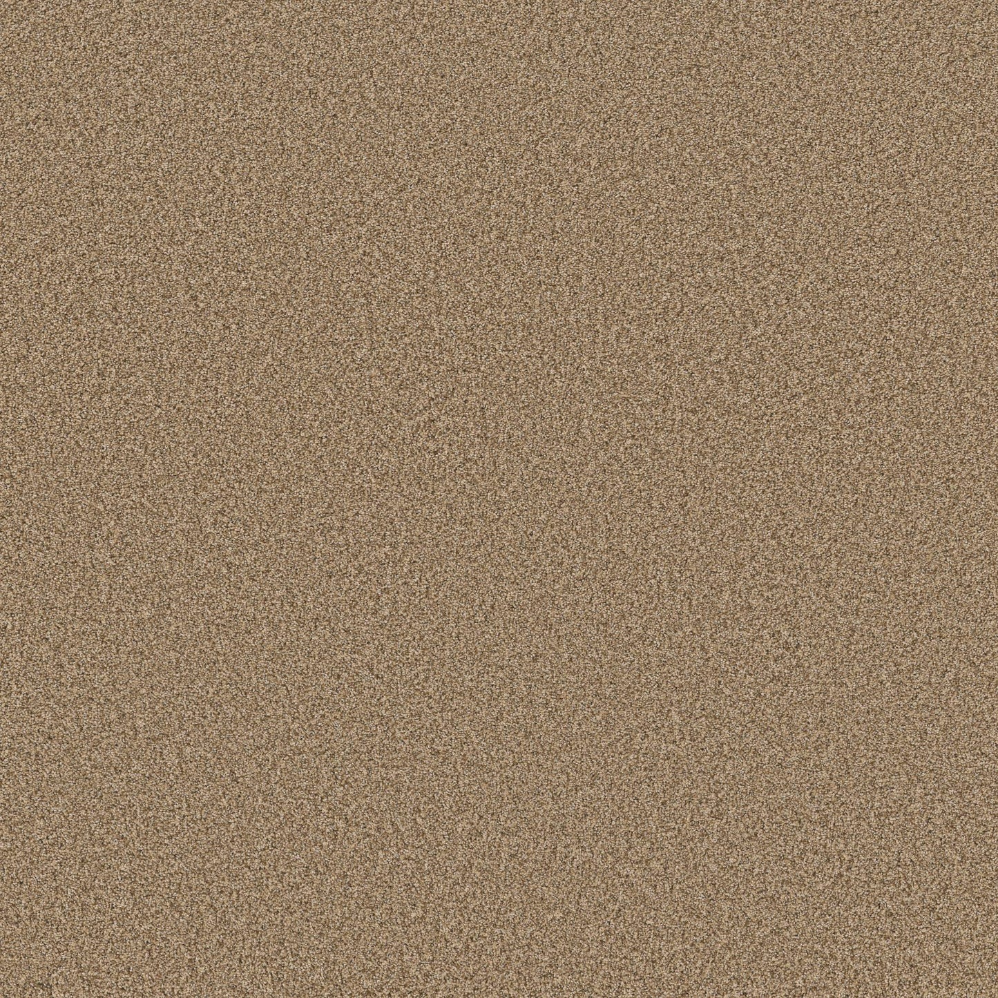 TEXTURE BCF