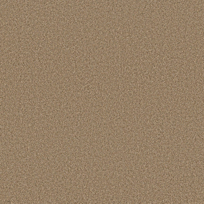 TEXTURE BCF