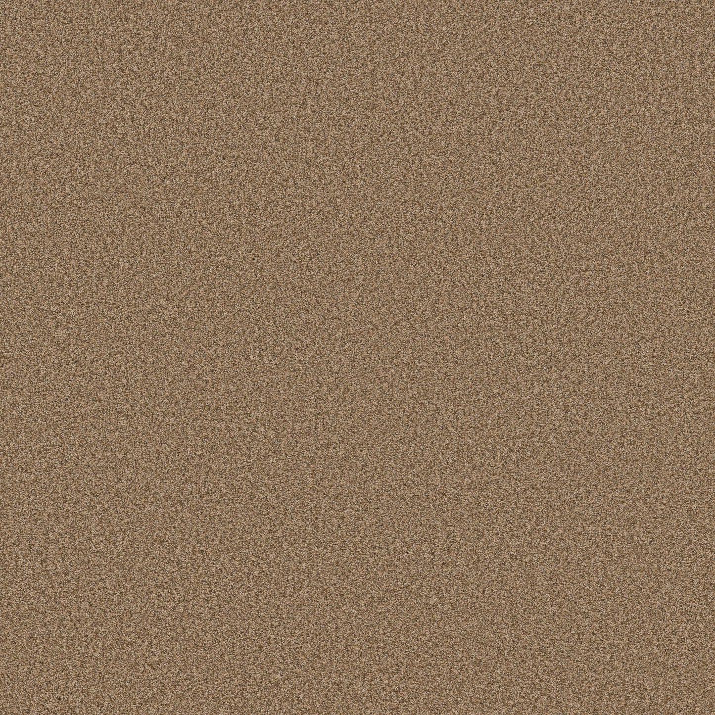 TEXTURE BCF