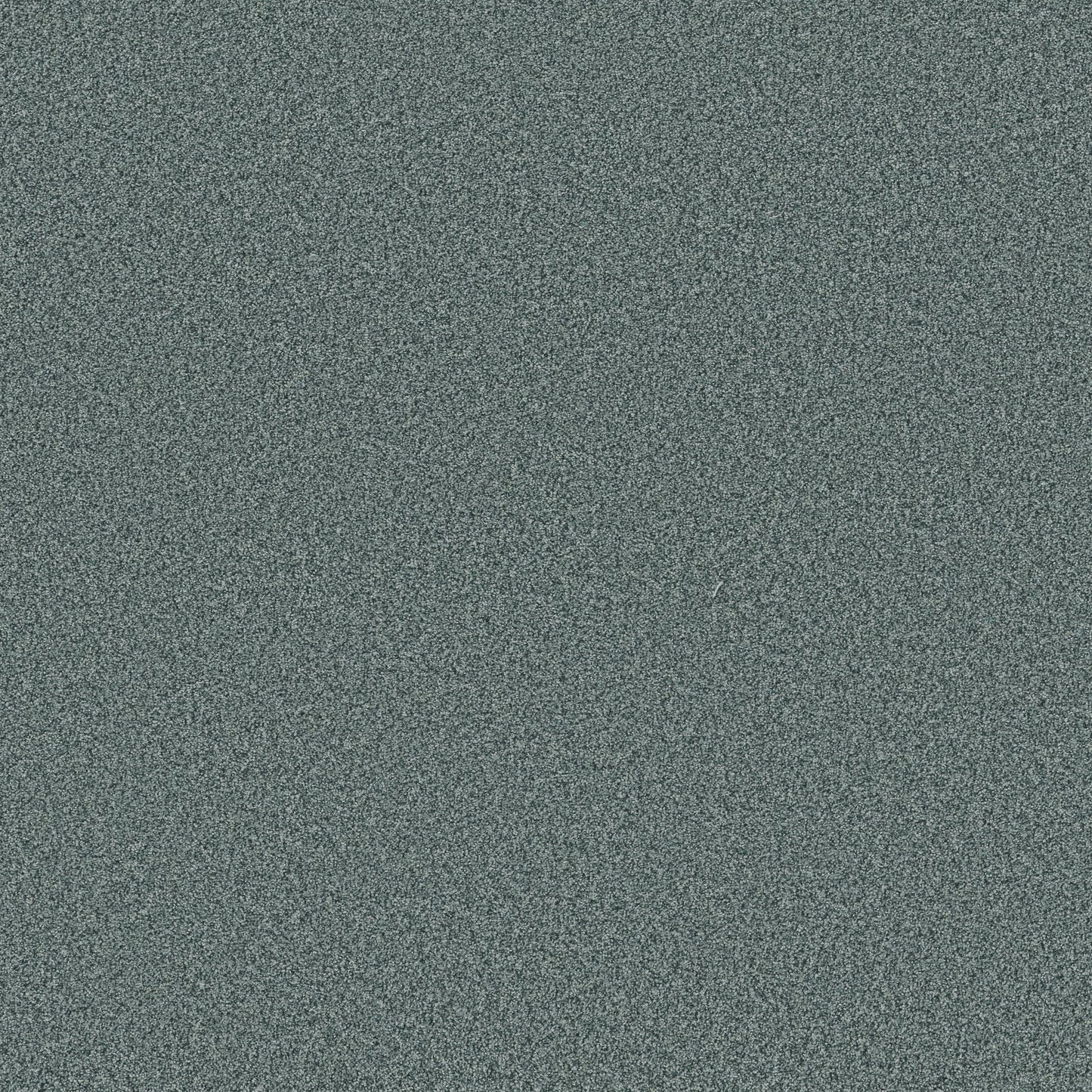 TEXTURE BCF