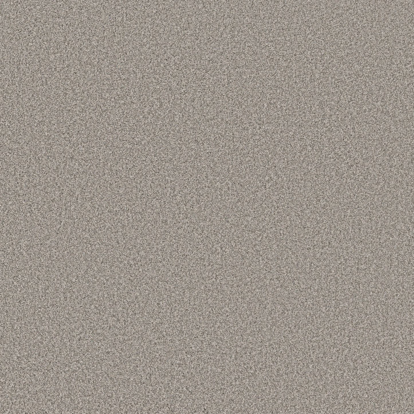 TEXTURE BCF