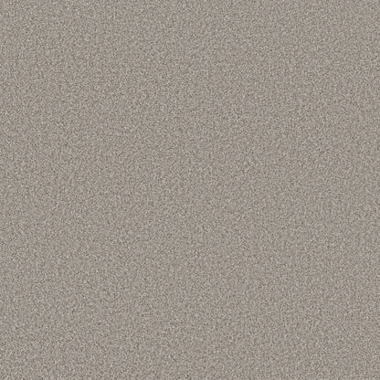TEXTURE BCF