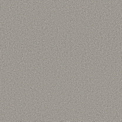 TEXTURE BCF