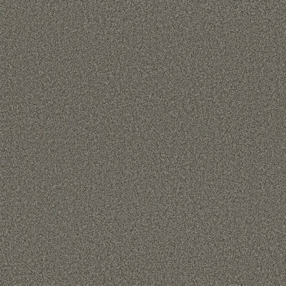 TEXTURE BCF