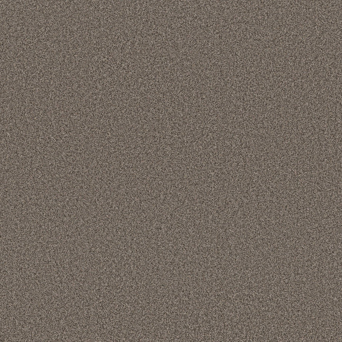 TEXTURE BCF