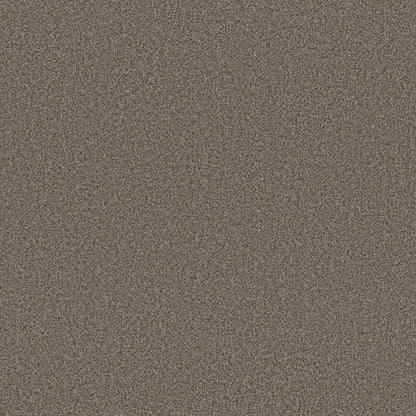 TEXTURE BCF