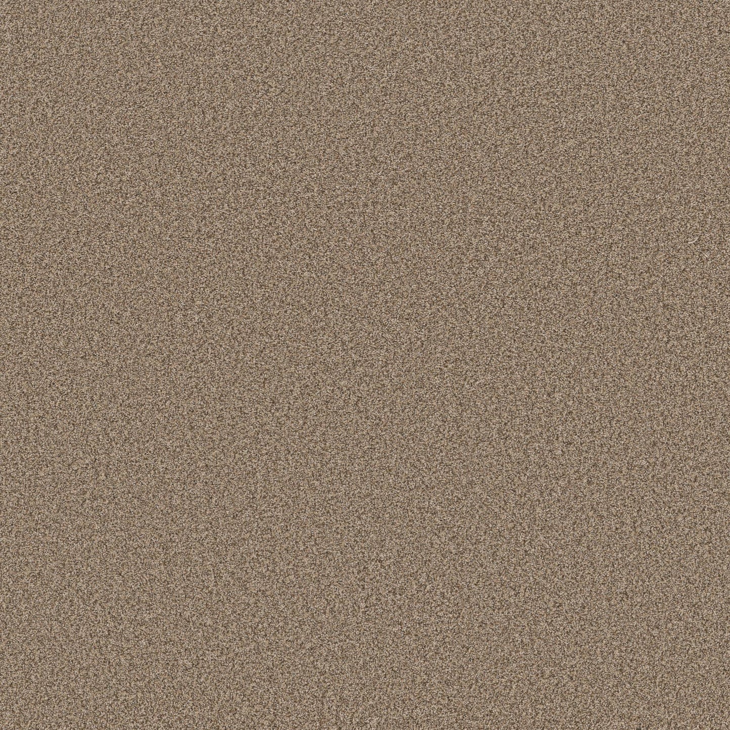 TEXTURE BCF