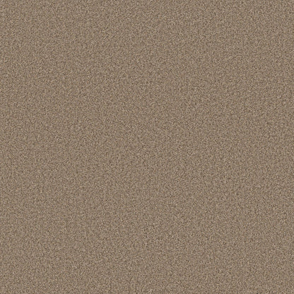 TEXTURE BCF