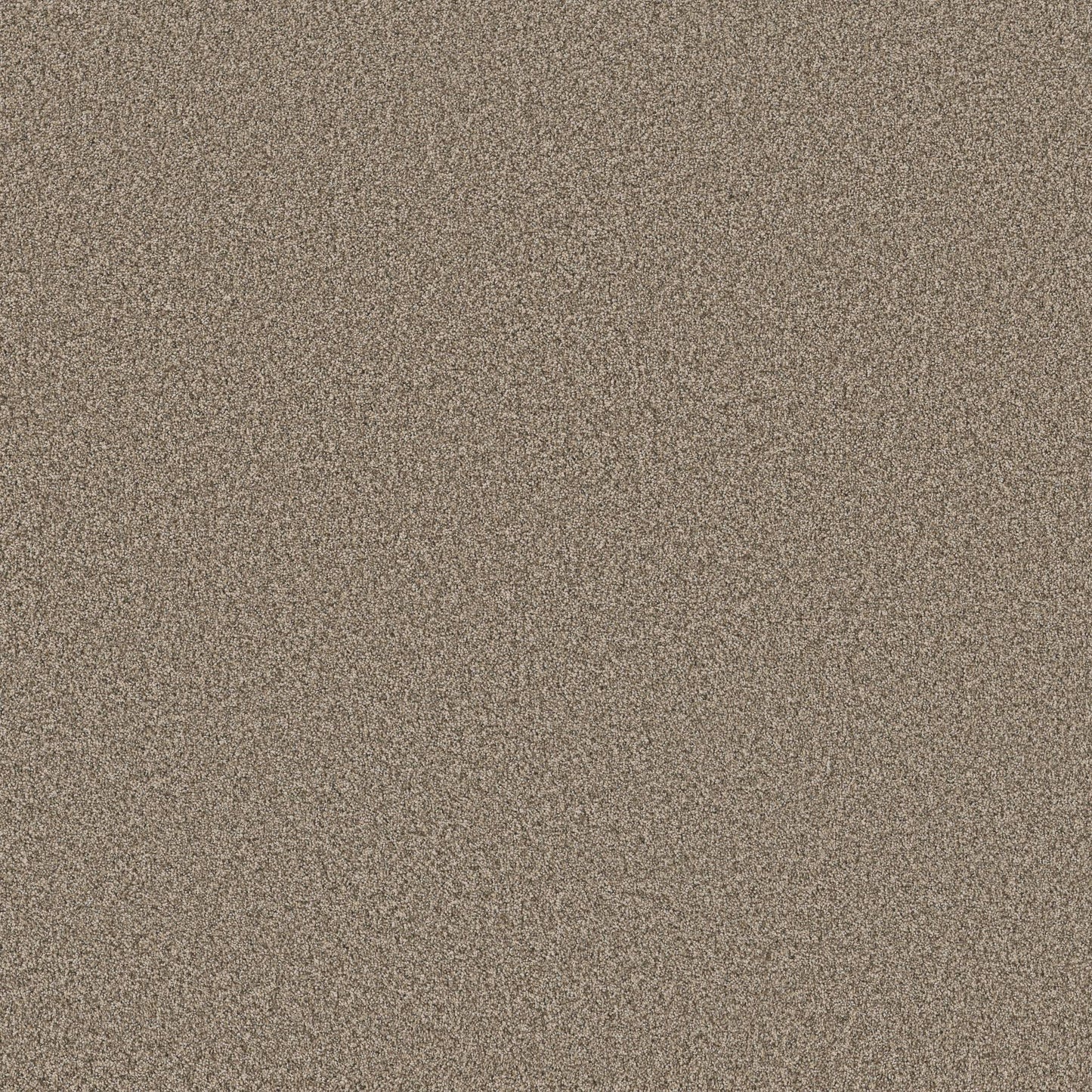 TEXTURE BCF
