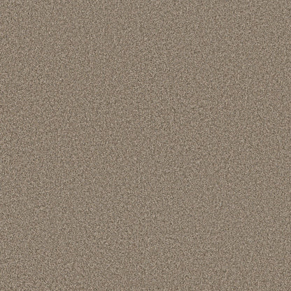 TEXTURE BCF