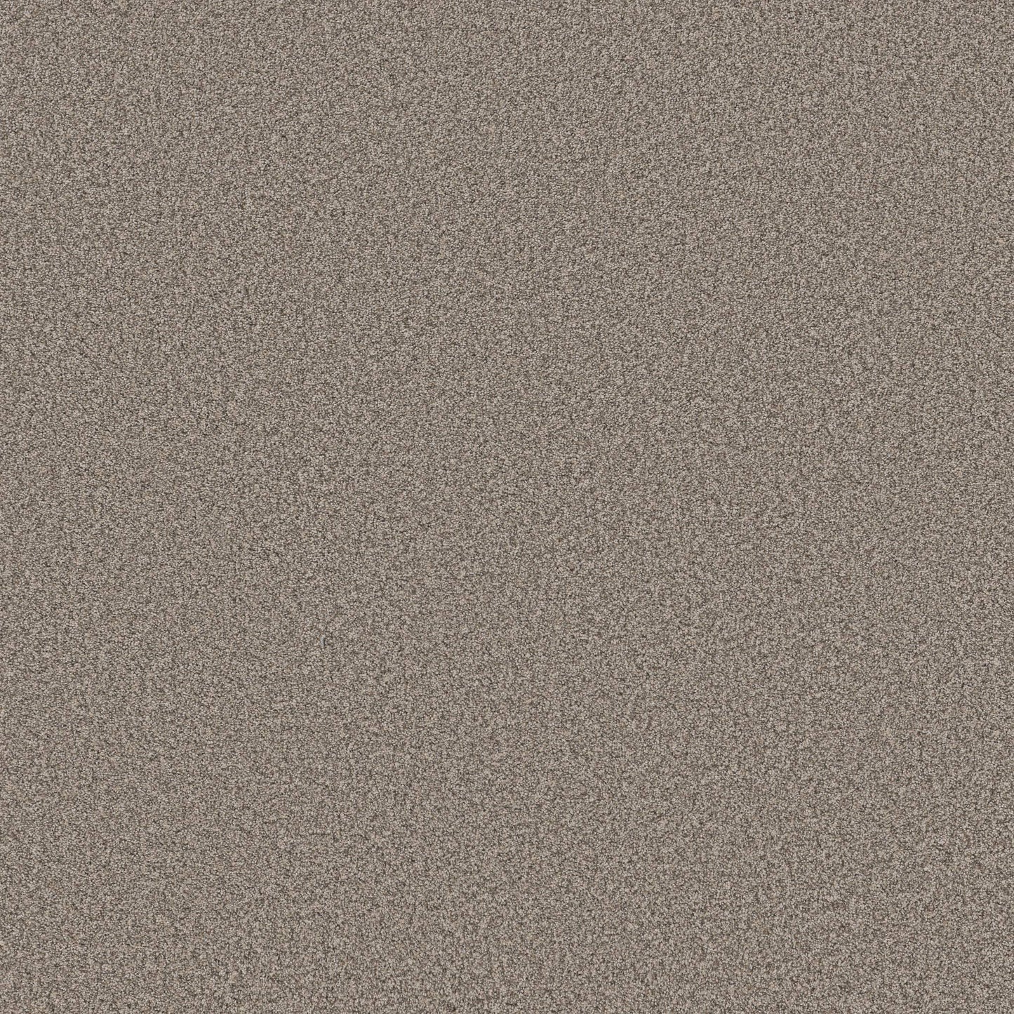 TEXTURE BCF