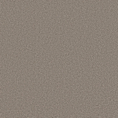 TEXTURE BCF