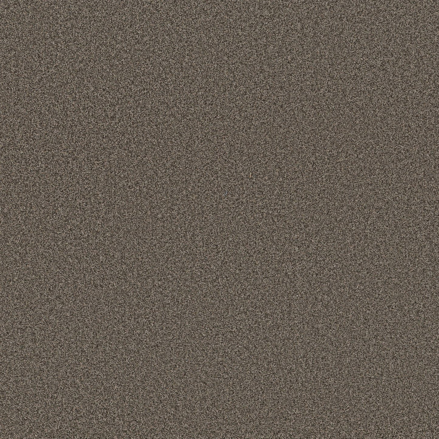 TEXTURE BCF