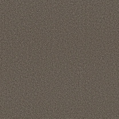TEXTURE BCF