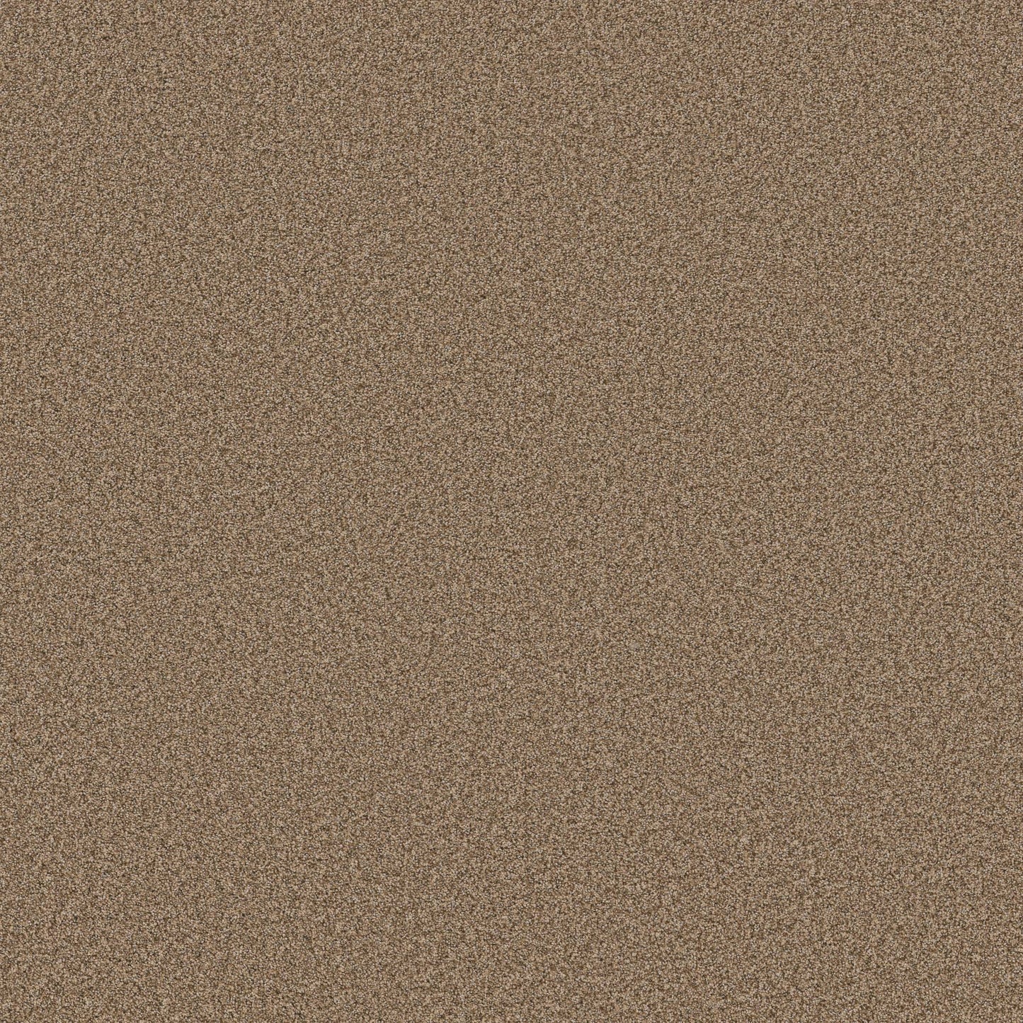 TEXTURE BCF