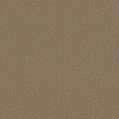 TEXTURE BCF