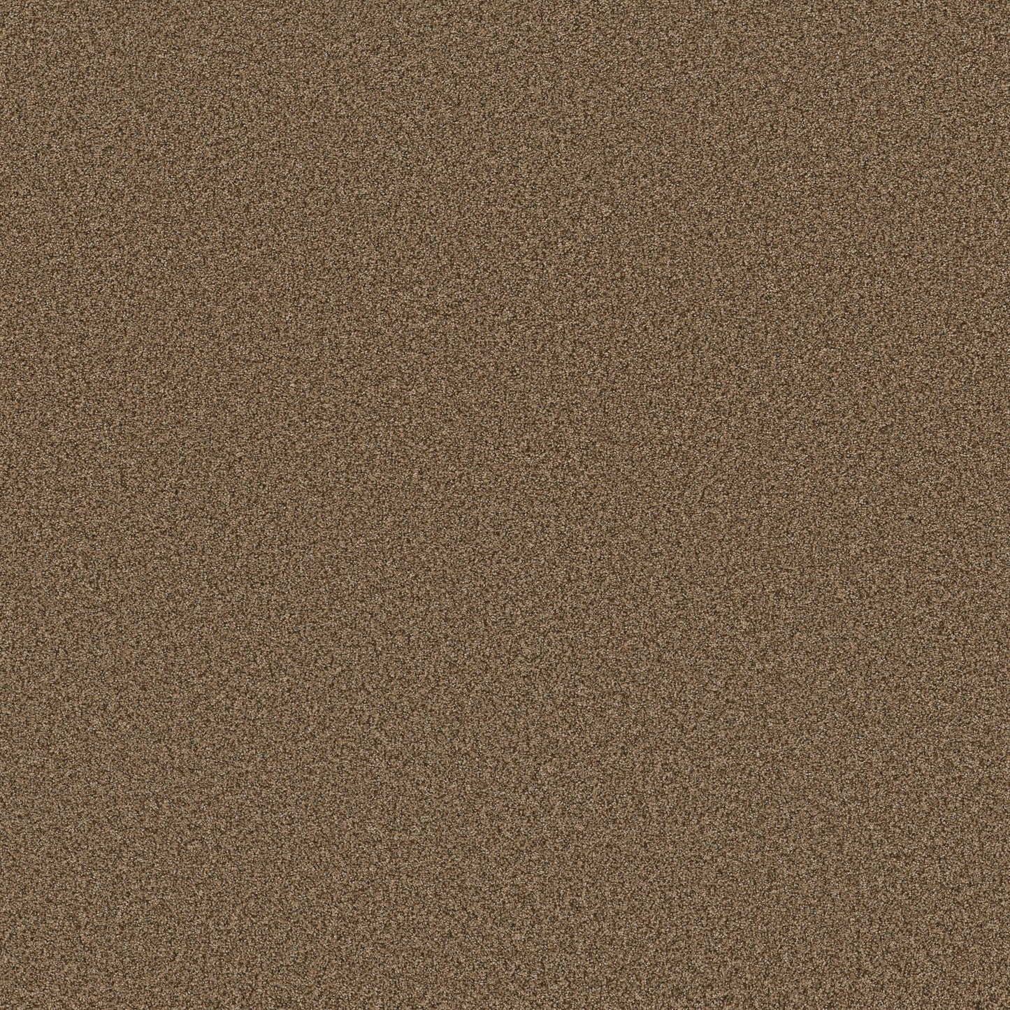 TEXTURE BCF