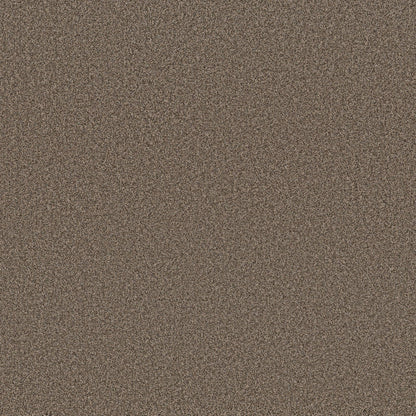 TEXTURE BCF