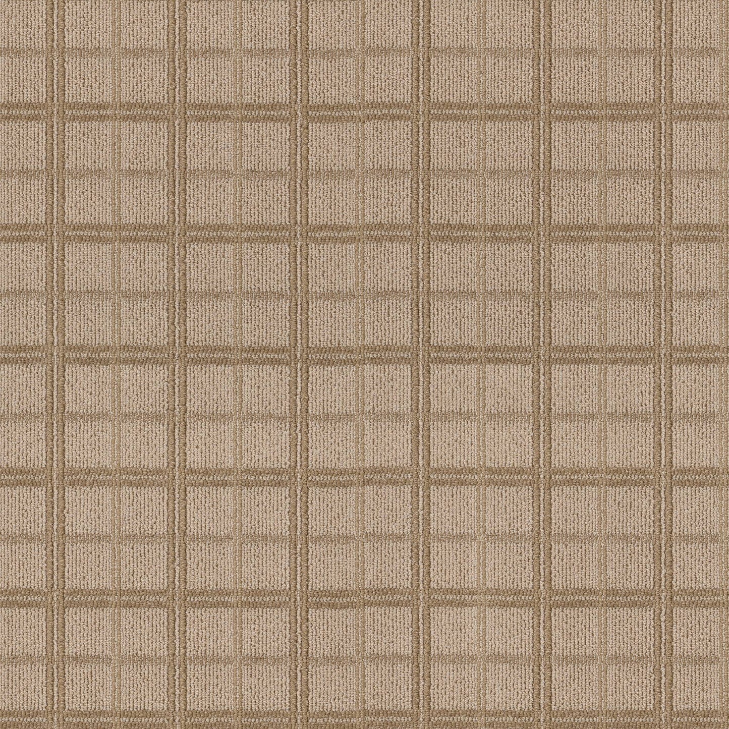 BERBER NYLON LOOP