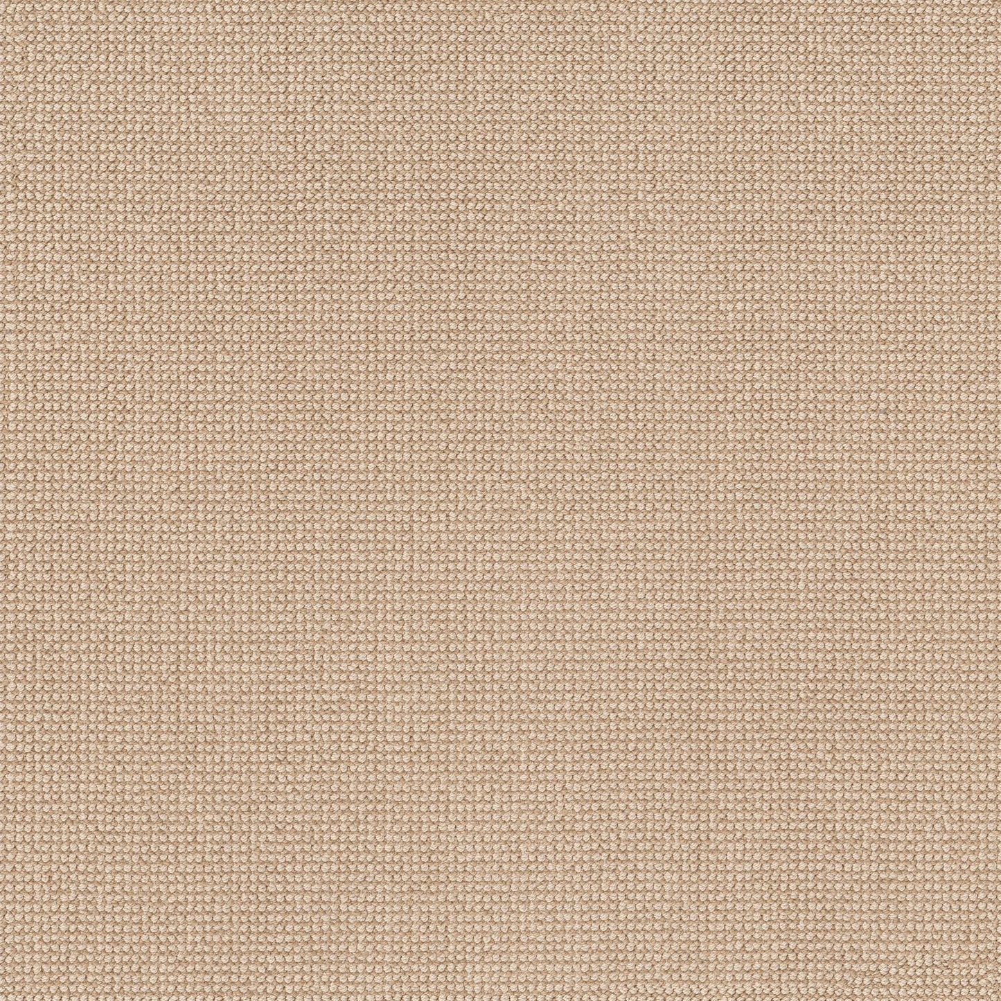 BERBER NYLON LOOP
