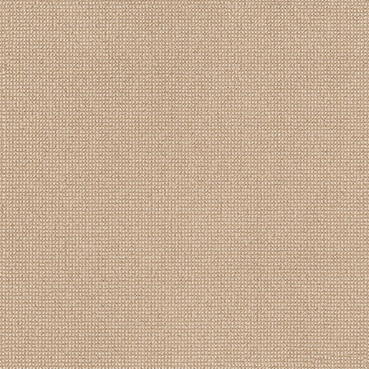 BERBER NYLON LOOP