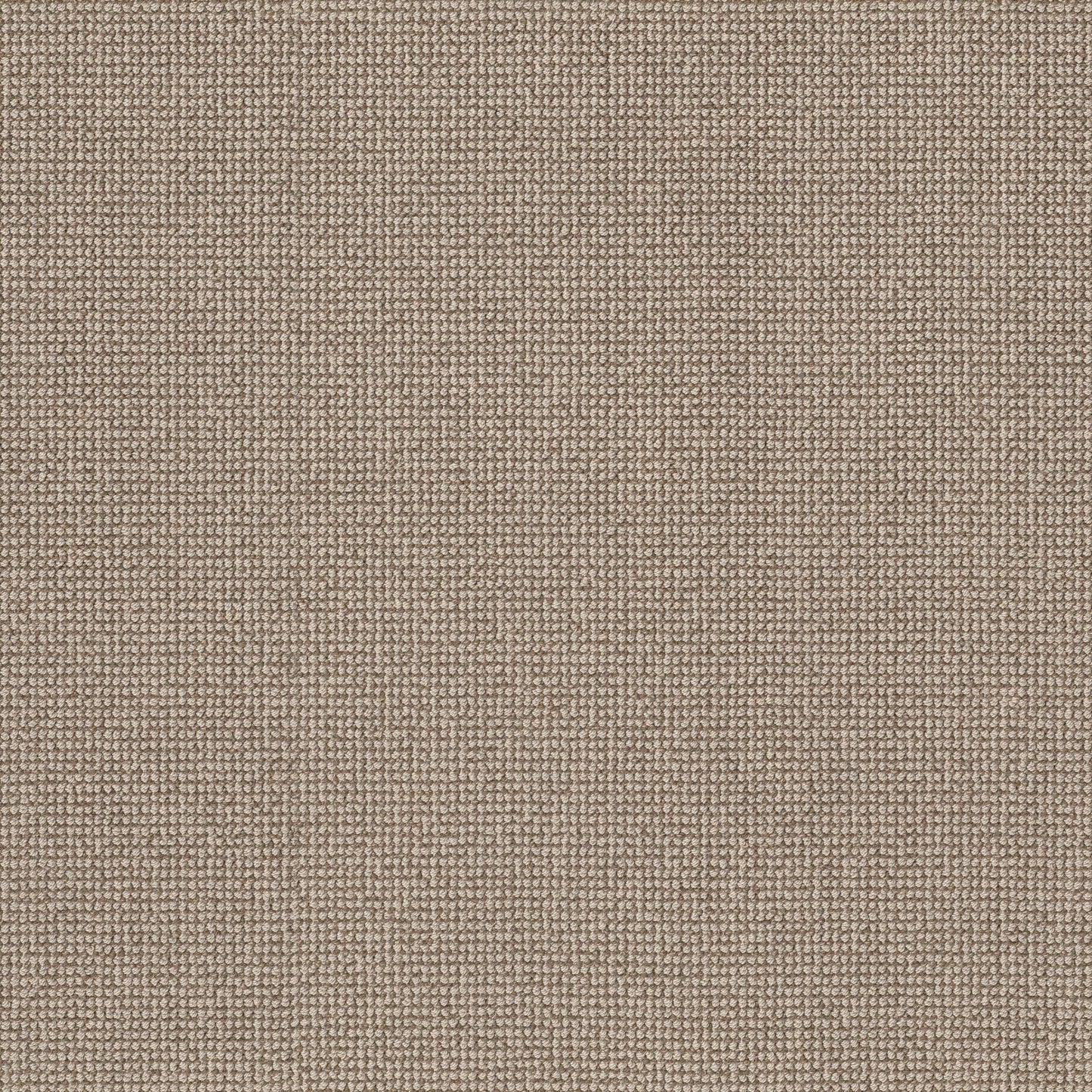 BERBER NYLON LOOP