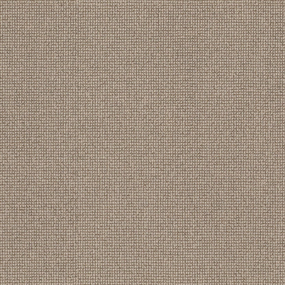 BERBER NYLON LOOP