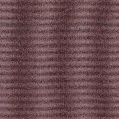 BERBER NYLON LOOP