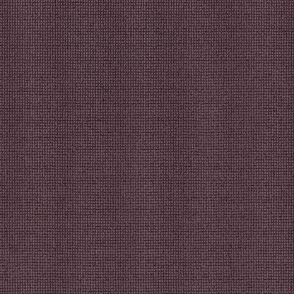BERBER NYLON LOOP