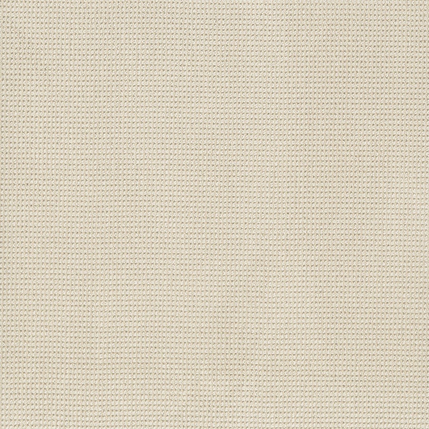 BERBER NYLON LOOP