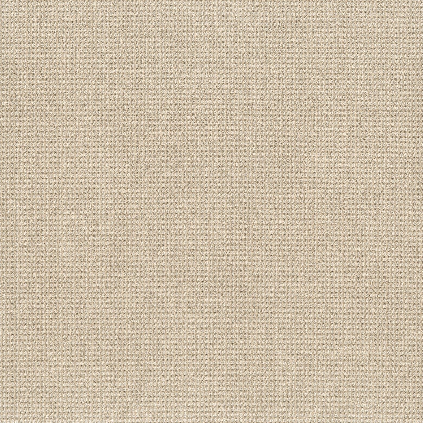 BERBER NYLON LOOP