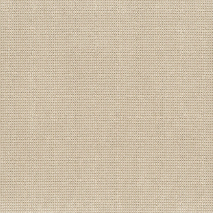 BERBER NYLON LOOP
