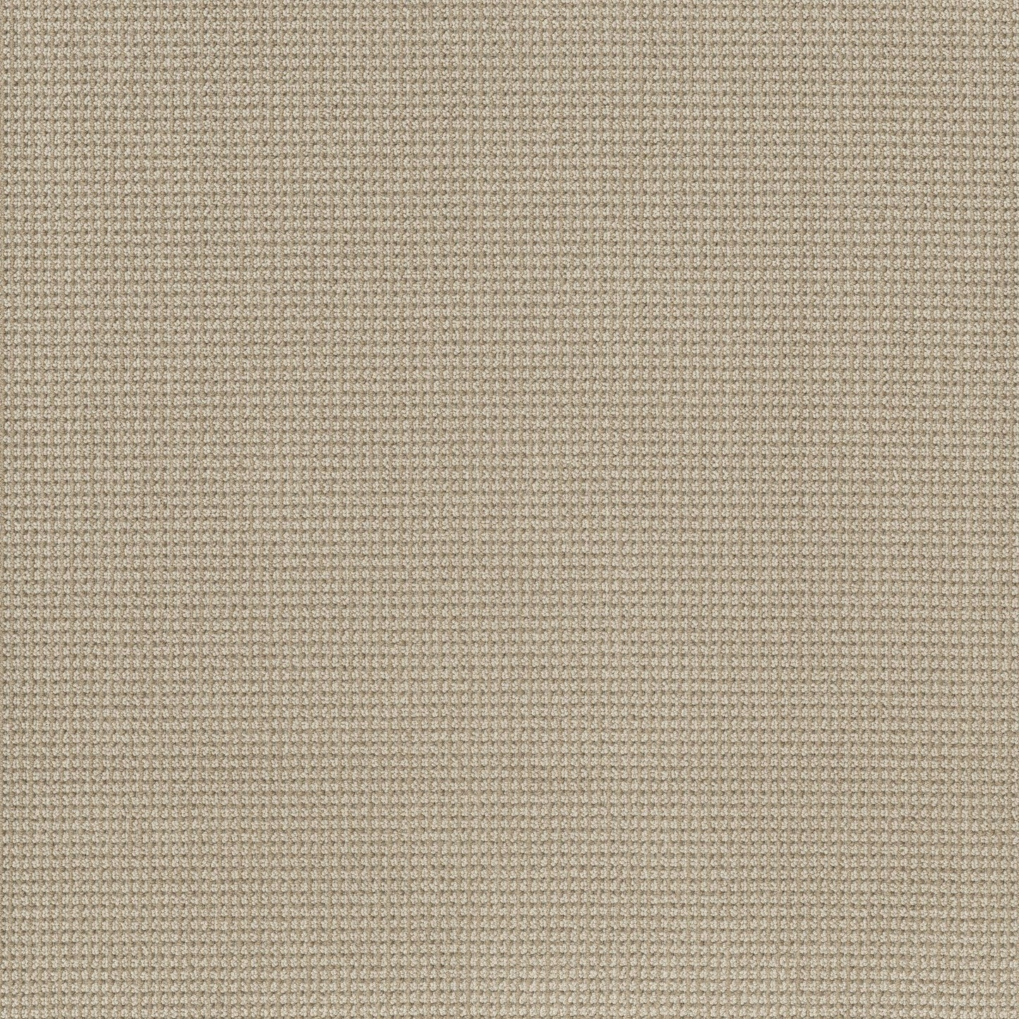 BERBER NYLON LOOP