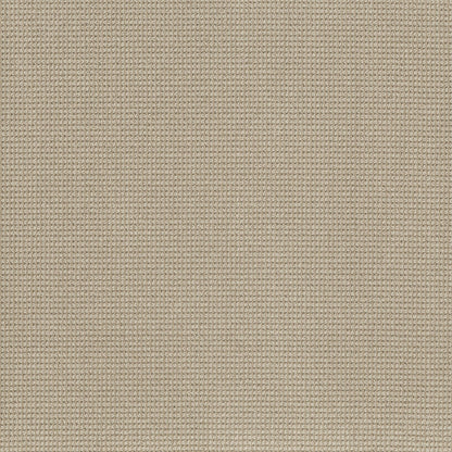 BERBER NYLON LOOP