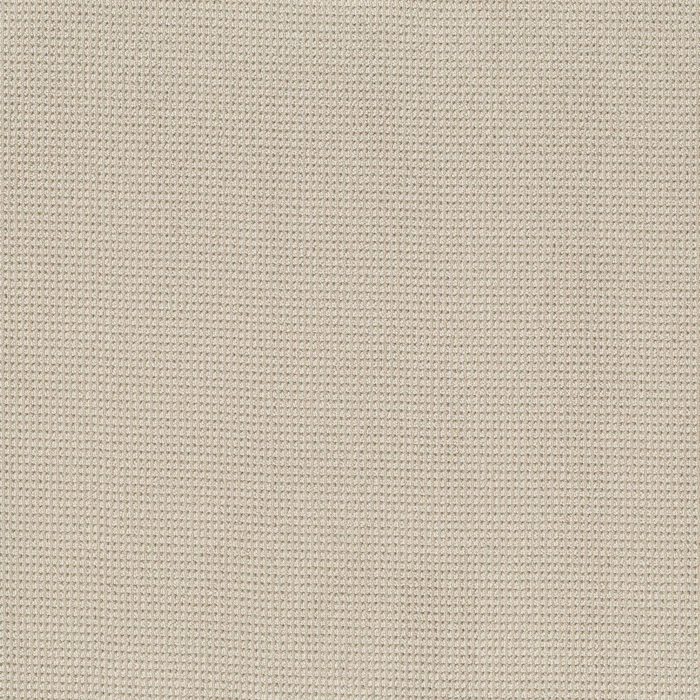 BERBER NYLON LOOP