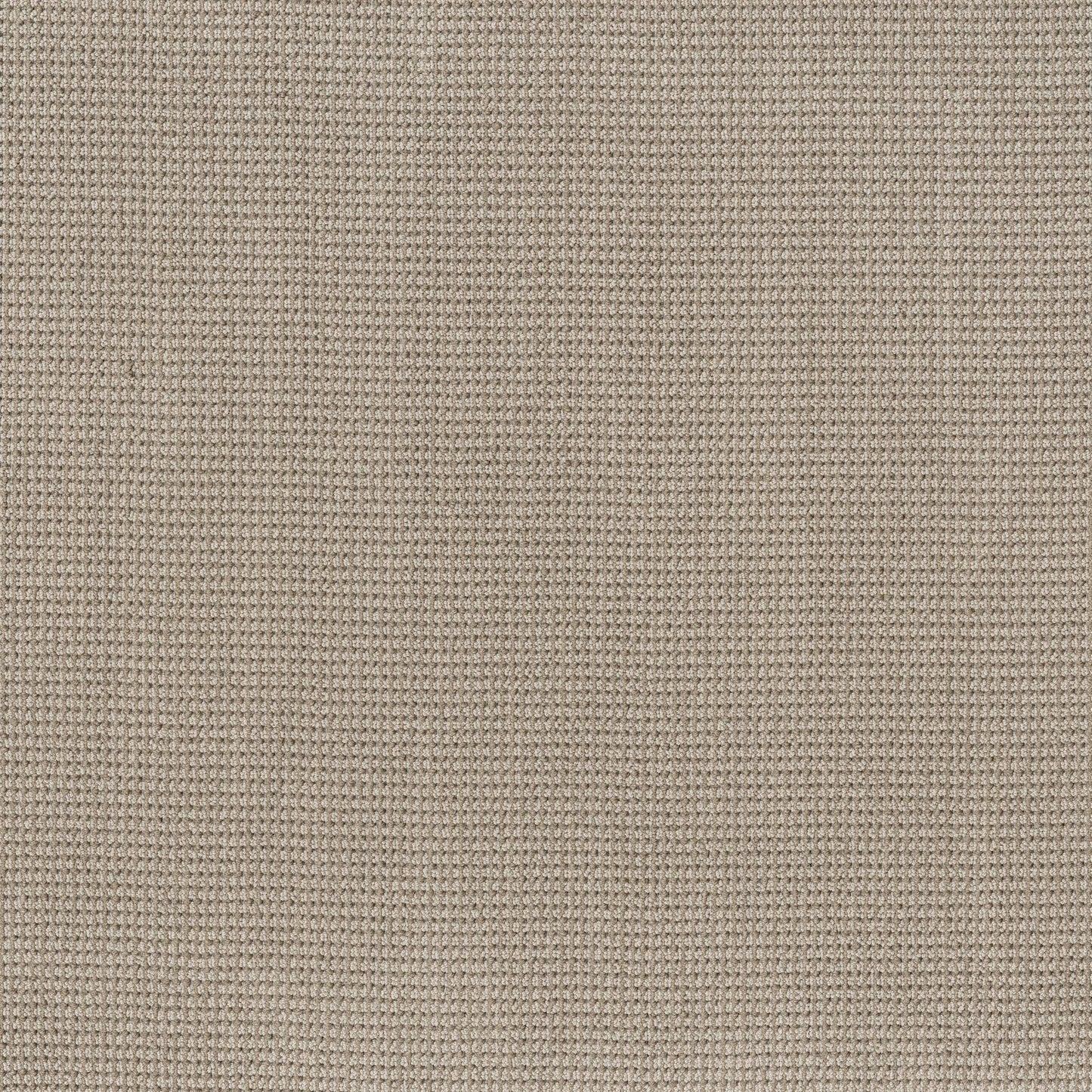 BERBER NYLON LOOP