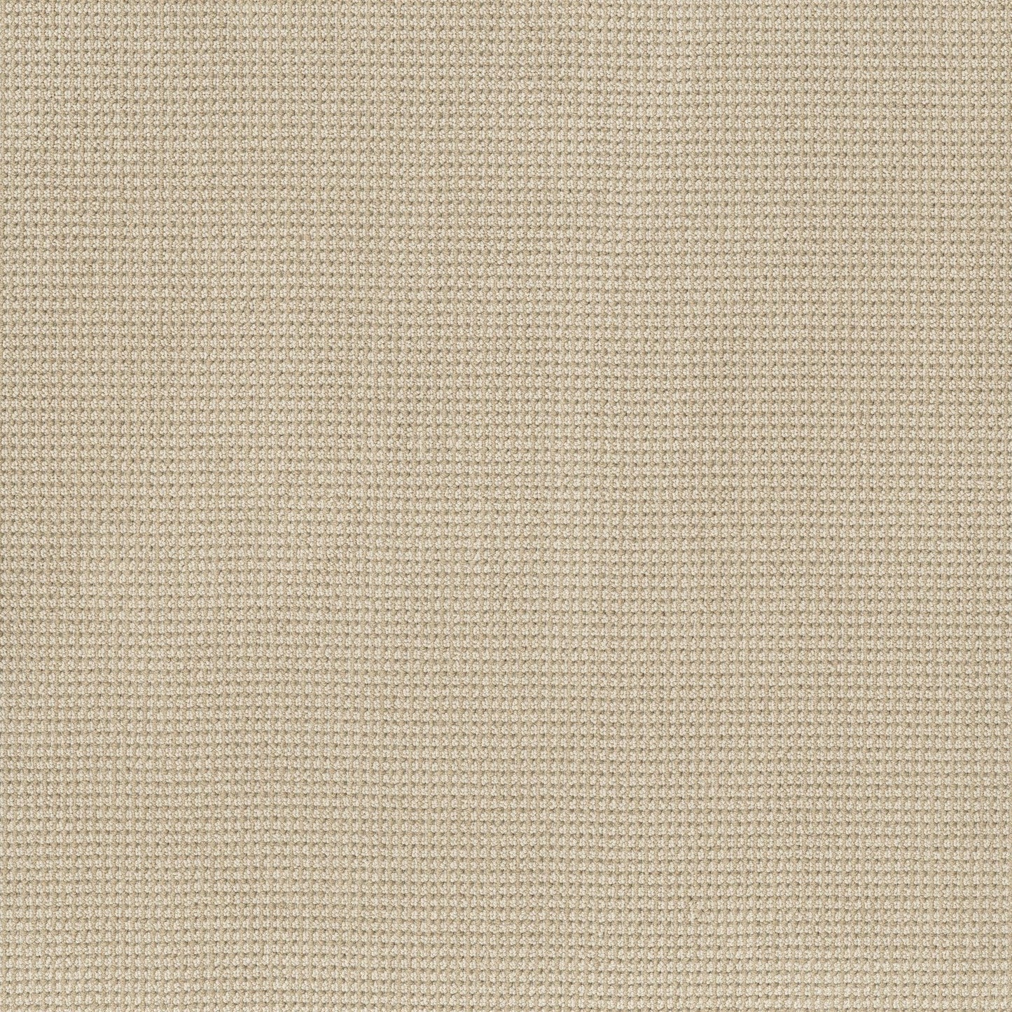 BERBER NYLON LOOP