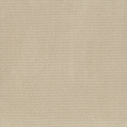 BERBER NYLON LOOP