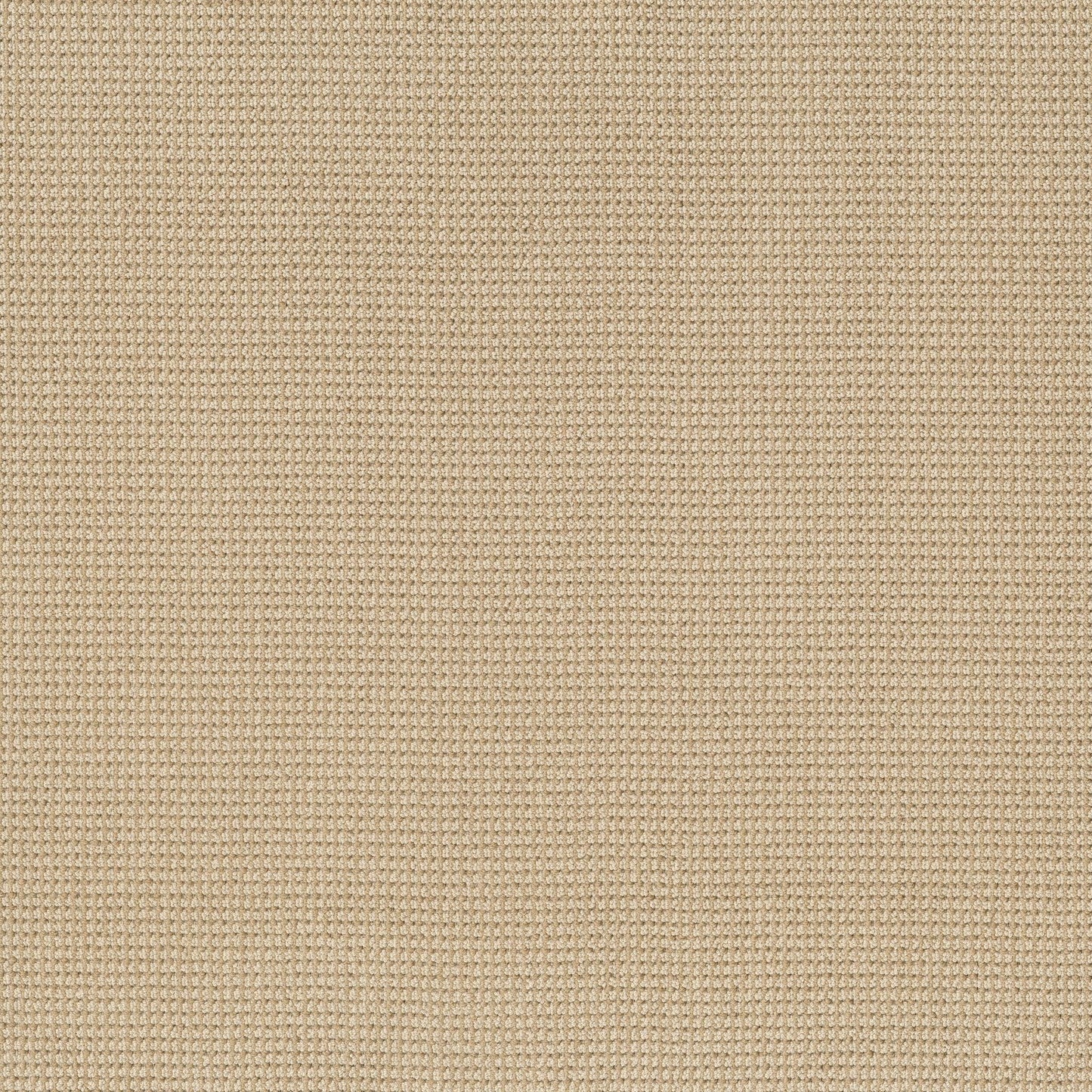 BERBER NYLON LOOP
