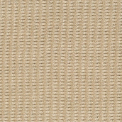 BERBER NYLON LOOP