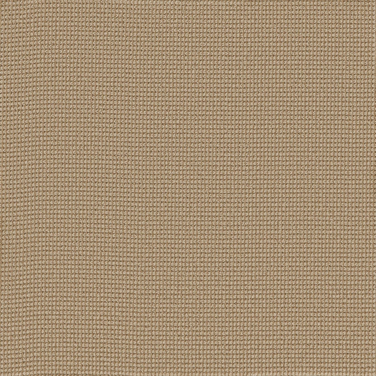 BERBER NYLON LOOP