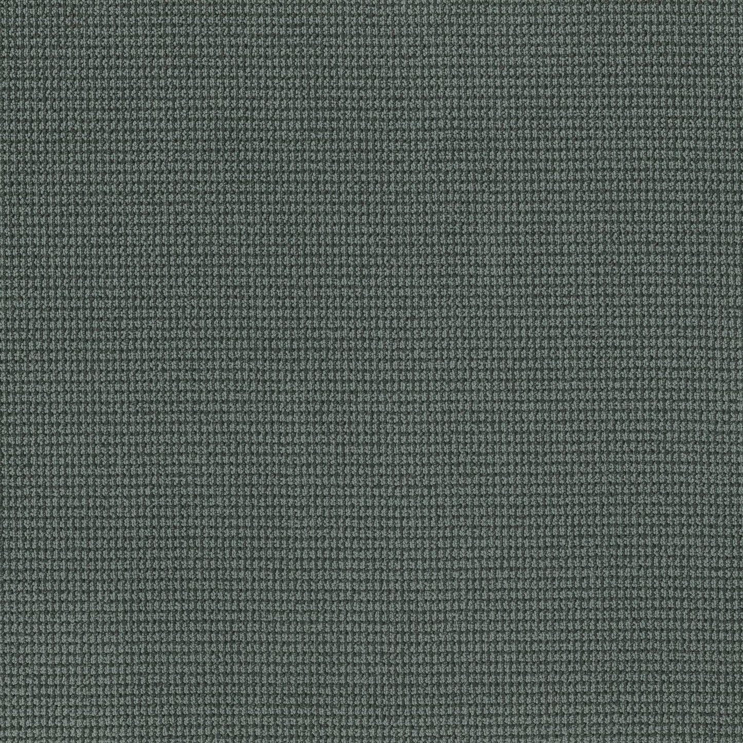 BERBER NYLON LOOP