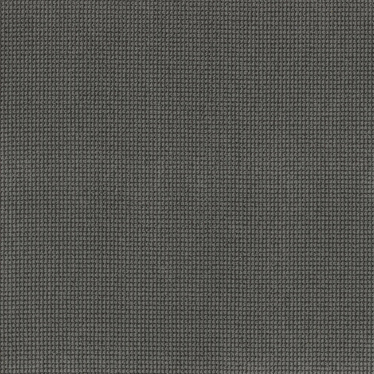 BERBER NYLON LOOP