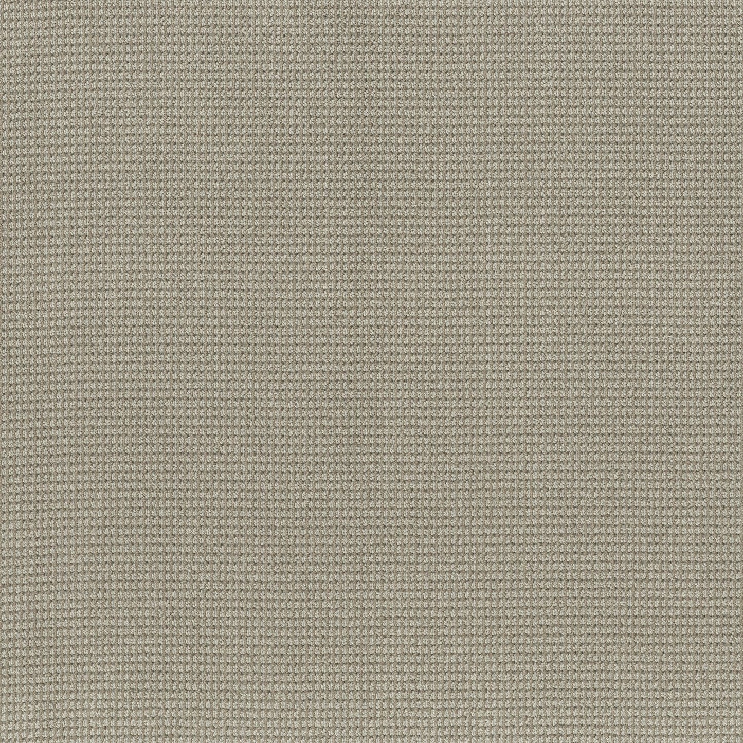 BERBER NYLON LOOP