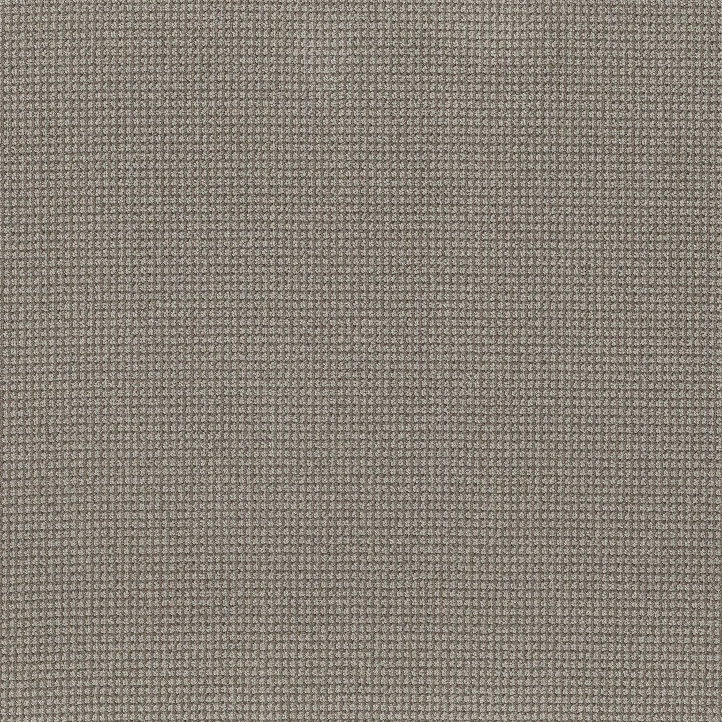 BERBER NYLON LOOP