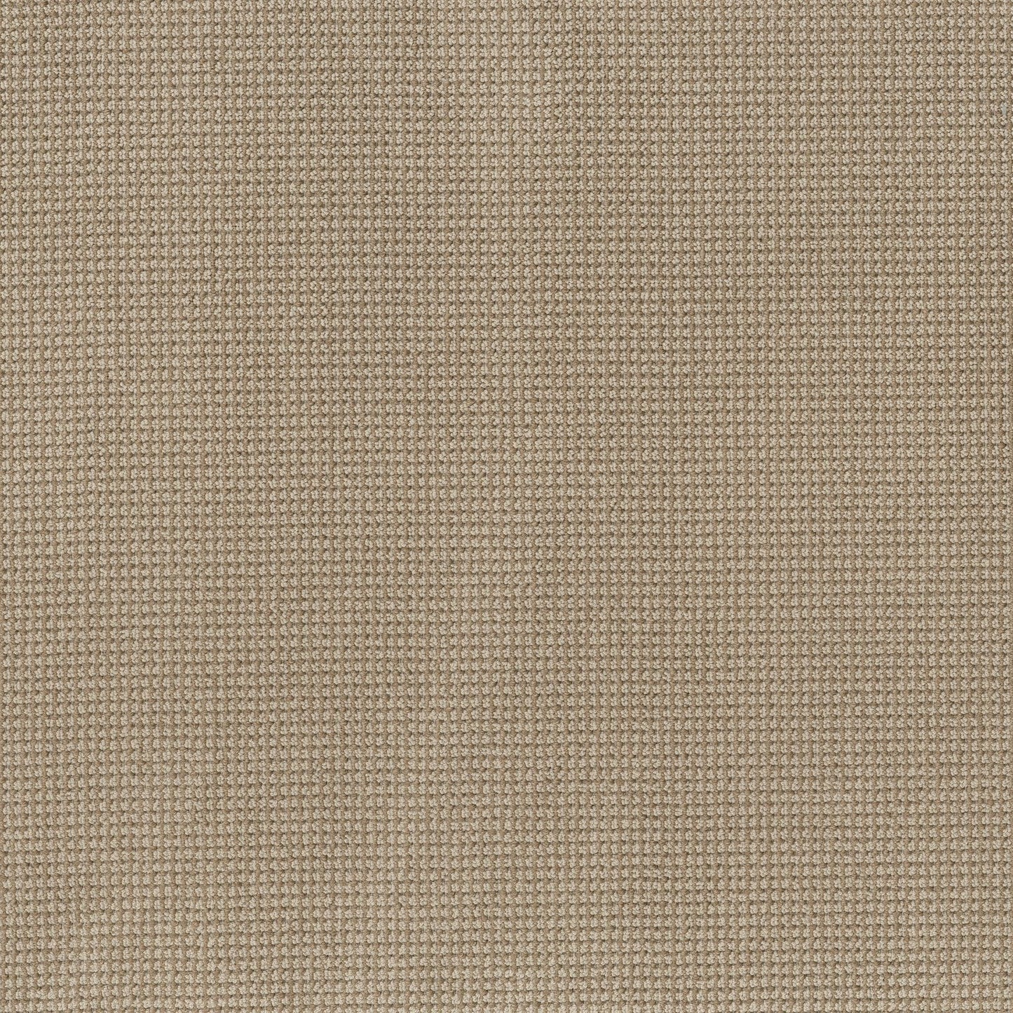BERBER NYLON LOOP