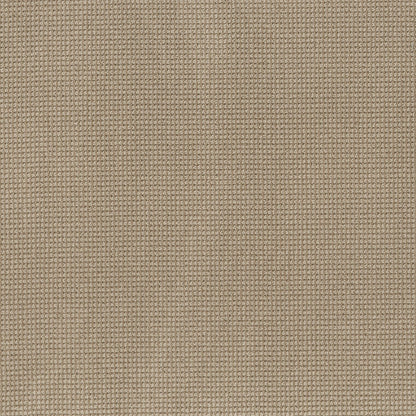 BERBER NYLON LOOP